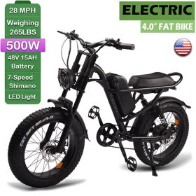 EMB009 New Design 500W Mountain Electric Bicycle Out Door With Fat Tire 20''Ebike